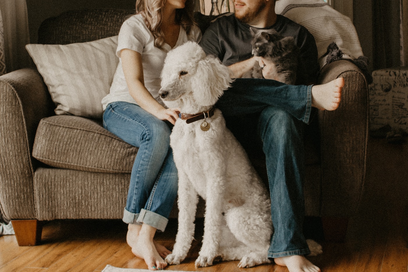 Pets lifestyle editorial photograph
